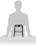 Classic Pet Products Single Feeder High Stand with 1600 Ml Stainless Steel Dish,